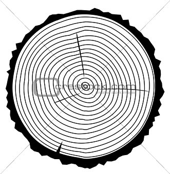 Vector Wood Rings