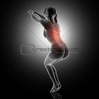 3D female in squat position with spine highlighted