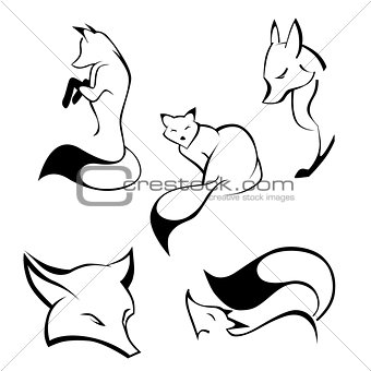 Set of foxes in curve lines