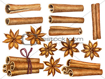 Cinnamon and anise stars set isolated on white background. Kitchen herbs and spices collection. Traditional christmas spices. Watercolor
