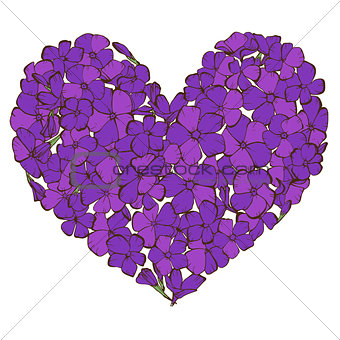 Heart of violet phlox flowers isolated on white background. Vector illustration.