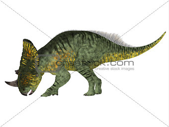 Brachyceratops Dinosaur Side Profile