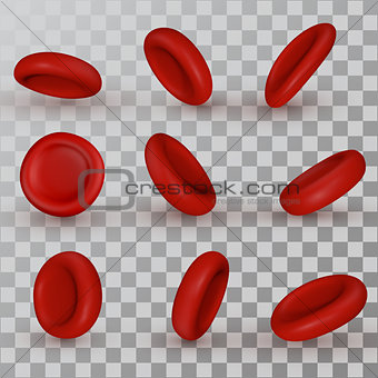 Vector red Blood Cells