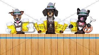 bavarian beer dogs row
