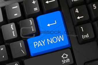 Blue Pay Now Button on Keyboard. 3D.