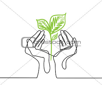 Hands holds a living green plant seedling.