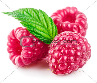 Raspberry berries with green leaf healthy food
