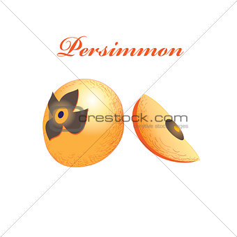Vector orange sweet persimmon 