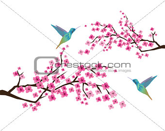 Cherry Blossom with Hummingbirds