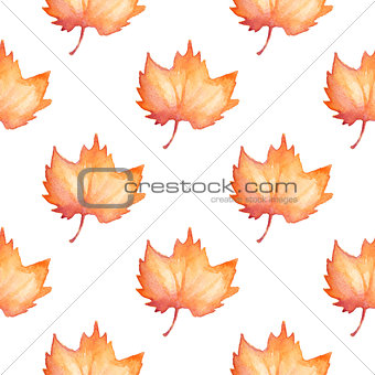 Pattern with maple leaves