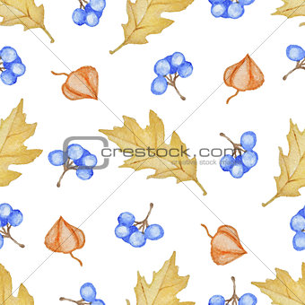 Oak leaves and blue berries