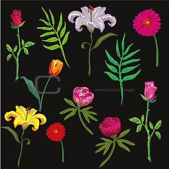 collection of colorful flowers. Vector illustration.