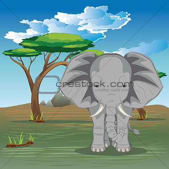 Landscape with Elephant