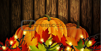 The vector illustration of pumpkins isolated