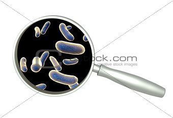 Magnifying glass and pathogen bacteria