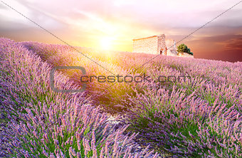 Sunset in Provence