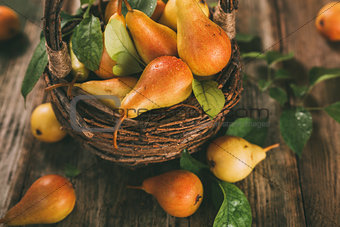 Healthy organic pears