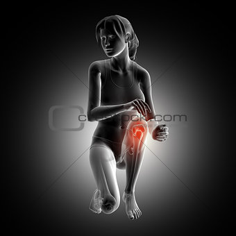 3D female figure kneeling down with knee highlighted