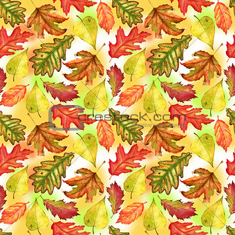 Seamless pattern with red, yellow and green-yellow autumn leaves on colorful background. Endless artwork hand-drawn. Floral wallpaper autumn plant forest. Watercolor illustration