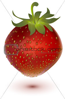 Red big ripe juicy realistic strawberry