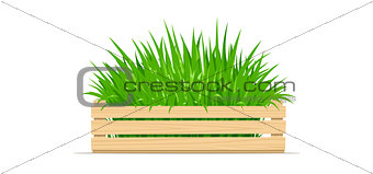 Wooden box with green grass
