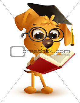 Yellow dog teacher reading book