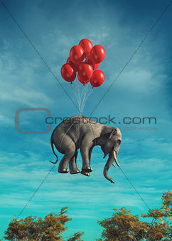  Conceptual image of an elephant flying 
