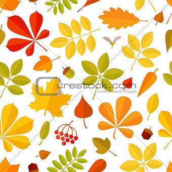 Seamless pattern Autumn falling leaf isolated on white background.