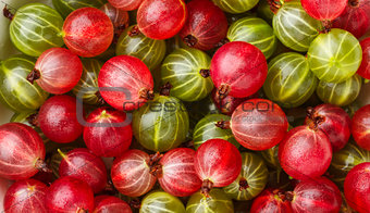 Fresh red and green gooseberries. Top view