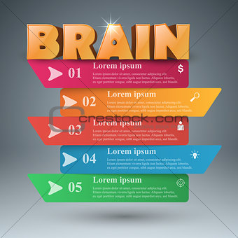 Brain 3d business infographics.
