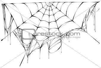 Black spiderweb on white background