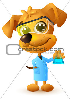 Yellow teacher dog holding flask. Chemistry lesson