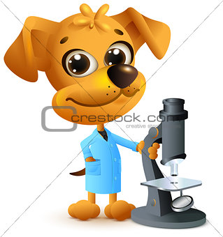 Yellow dog teacher holding microscope. Biology lesson