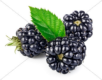 Berry blackberry with green leaf fresh fruit