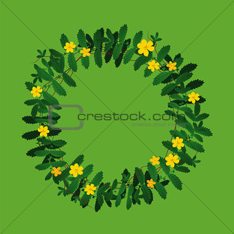 Plant flower wreath border frame decoration on green