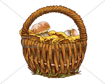 Wicker basket full of mushrooms orange cap boletus and chanterelles isolated on white background. Vector Illustration