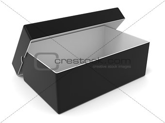 Empty black box, 3D