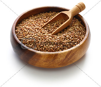 buckwheat seeds from Russia