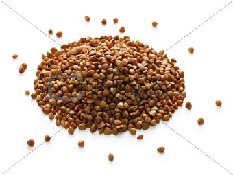 buckwheat seeds from Russia