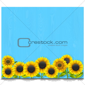Vector Blue Wooden Board with Sunflowers