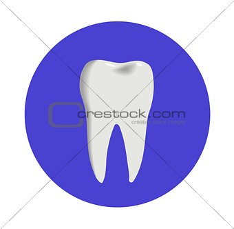 Teeth icon dentist flat vector sign or symbol. For dental clinic