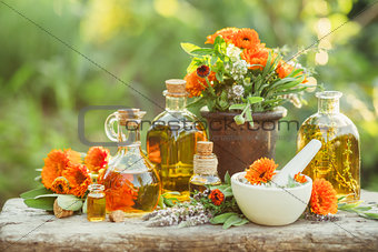 Variety of fresh herbs, calendula and oils