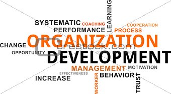 word cloud - organization development