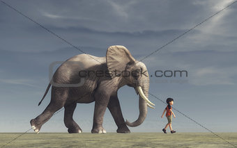 The boy goes and a big elephant