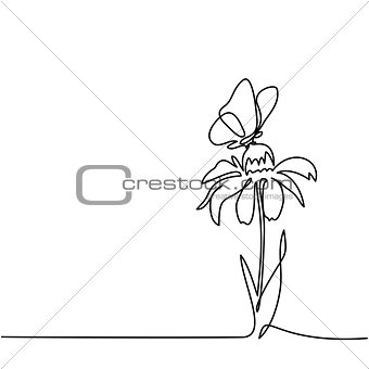 Drawing of beautiful flower with butterfly