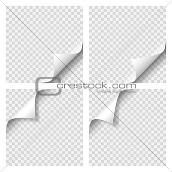 Set of Curly Page Corner. Blank sheet of paper with page curl with transparent shadow. Realistic vector illustration. Graphic element for documents, templates, posters, flyers and advertising
