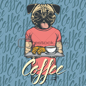 Vector Illustration of pug dog with croissant and coffee