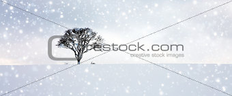 Tree with snow in winter .