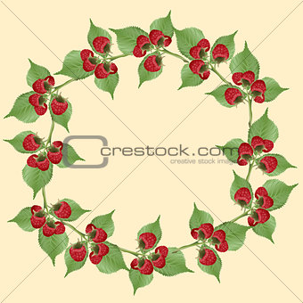 frame of raspberries with green leaves