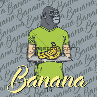 Vector gorilla with bananas illustration